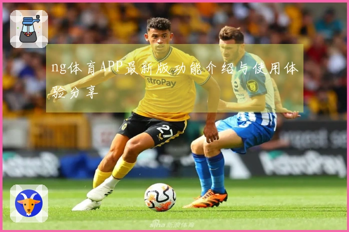 ng体育APP最新版功能介绍与使用体验分享