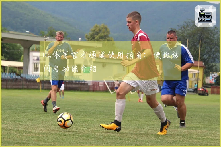 ng体育官方通道使用指南：便捷访问与功能介绍