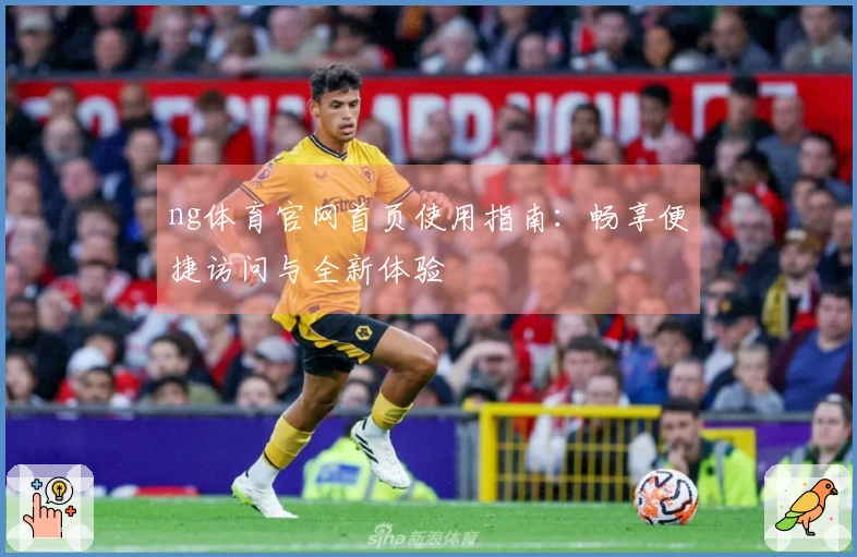 ng体育官网首页使用指南:畅享便捷访问与全新体验