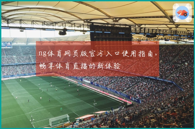 ng体育网页版官方入口使用指南，畅享体育直播的新体验