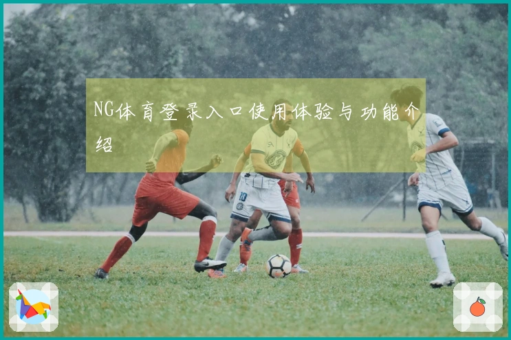 NG体育登录入口使用体验与功能介绍